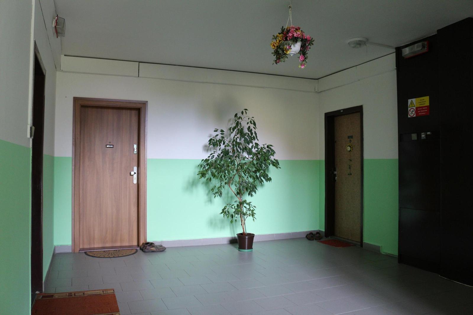 Canon EOS 700D: dotykový hybrid