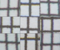 Fujifilm X-S1: jedinečný