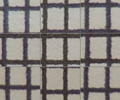 Nikon Coolpix P510: lovec rekordů