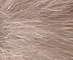 Panasonic Lumix LX3: nejtajnější přání vyslyšena