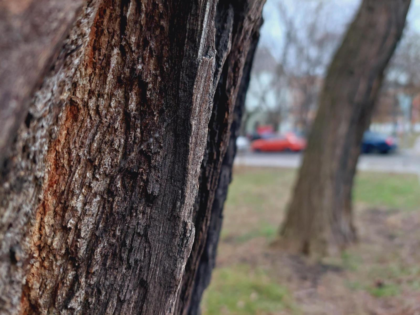 Samsung Galaxy A52s 5G: populární univerzál