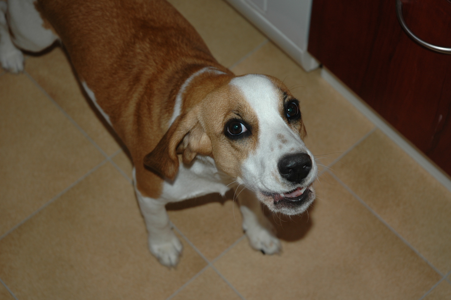 D70: digitální zrcadlovka v praxi