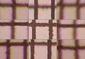 Nikon Coolpix A900: 4K do kapsy