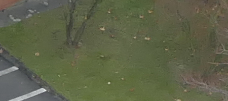 Panasonic Lumix FZ1000: legenda je zpátky