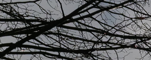 Panasonic Leica DG Vario-Summilux 10-25mm F1.7 ASPH.