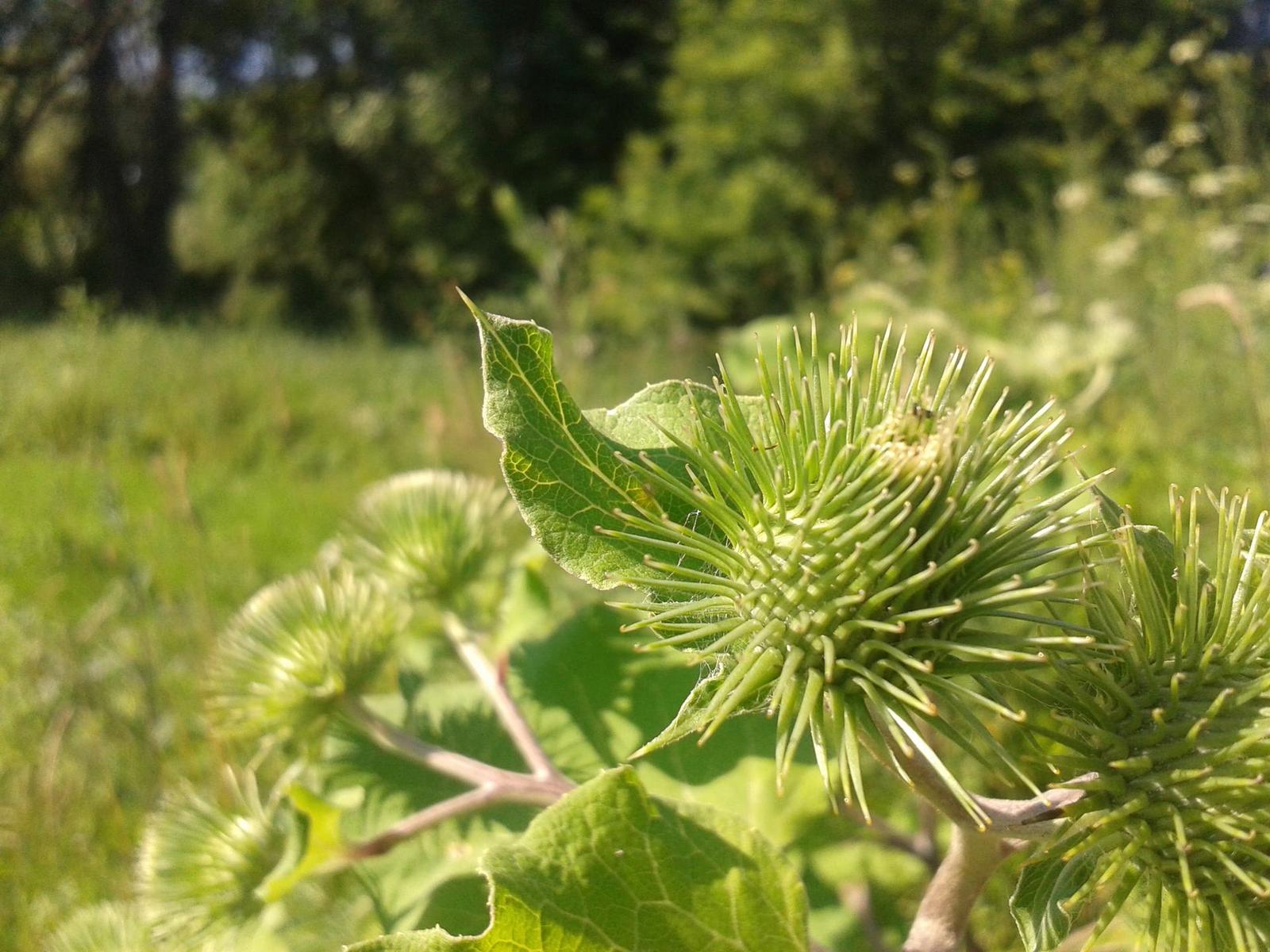 Samsung Galaxy S III mini: 5MPx placka