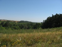 Canon PowerShot A540: Stříbrný šikula