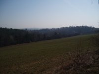 Olympus Camedia C-470 Zoom: Americký D-590