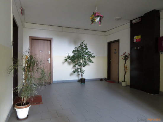 Canon PowerShot SX50 HS: překvapivá kombinace