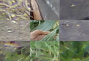 Nikon Coolpix A900: 4K do kapsy