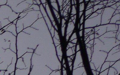 Panasonic LUMIX G VARIO 7-14mm F4.0