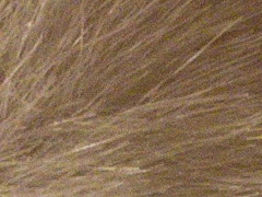 Nikon D3100: základ nabídky DSLR