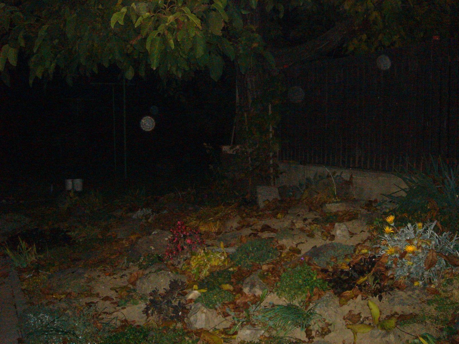 Sony Cyber-shot DSC-M2: Kamera nebo digitál?