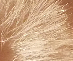 Fujifilm FinePix F300EXR: klame tělem