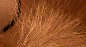 Canon PowerShot G1 X Mark II: významné zlepšení