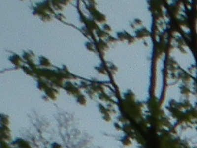 Fujifilm FinePix HS10: ultrazoom roku?