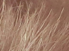 Casio EXILIM ZR100: kapesní formule