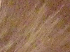 Canon PowerShot A800: šikula za pár stovek