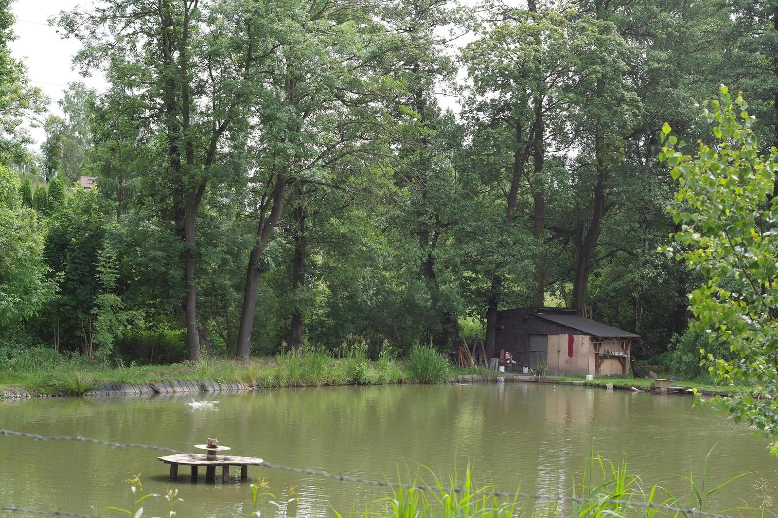 Carl Zeiss Jena DDR Pancolar 1,8/50mm MC electric (M42)