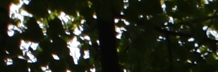 Tamron SP AF 10-24mm F3.5-4.5 Di II LD Aspherical IF