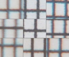 Fujifilm X-S1: jedinečný