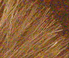 Sony SLT-A33: přesvědčivý revolucionář