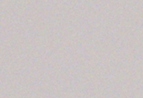 Fujifilm X-S1: jedinečný