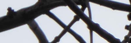 Panasonic Lumix TZ70: krůček k profi ultrazoomu