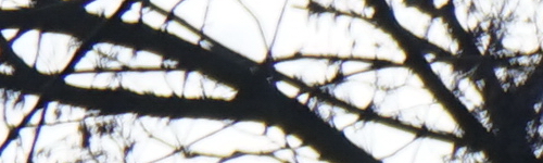 Sony FE 28-70mm F3.5-5.6 OSS (SEL2870)