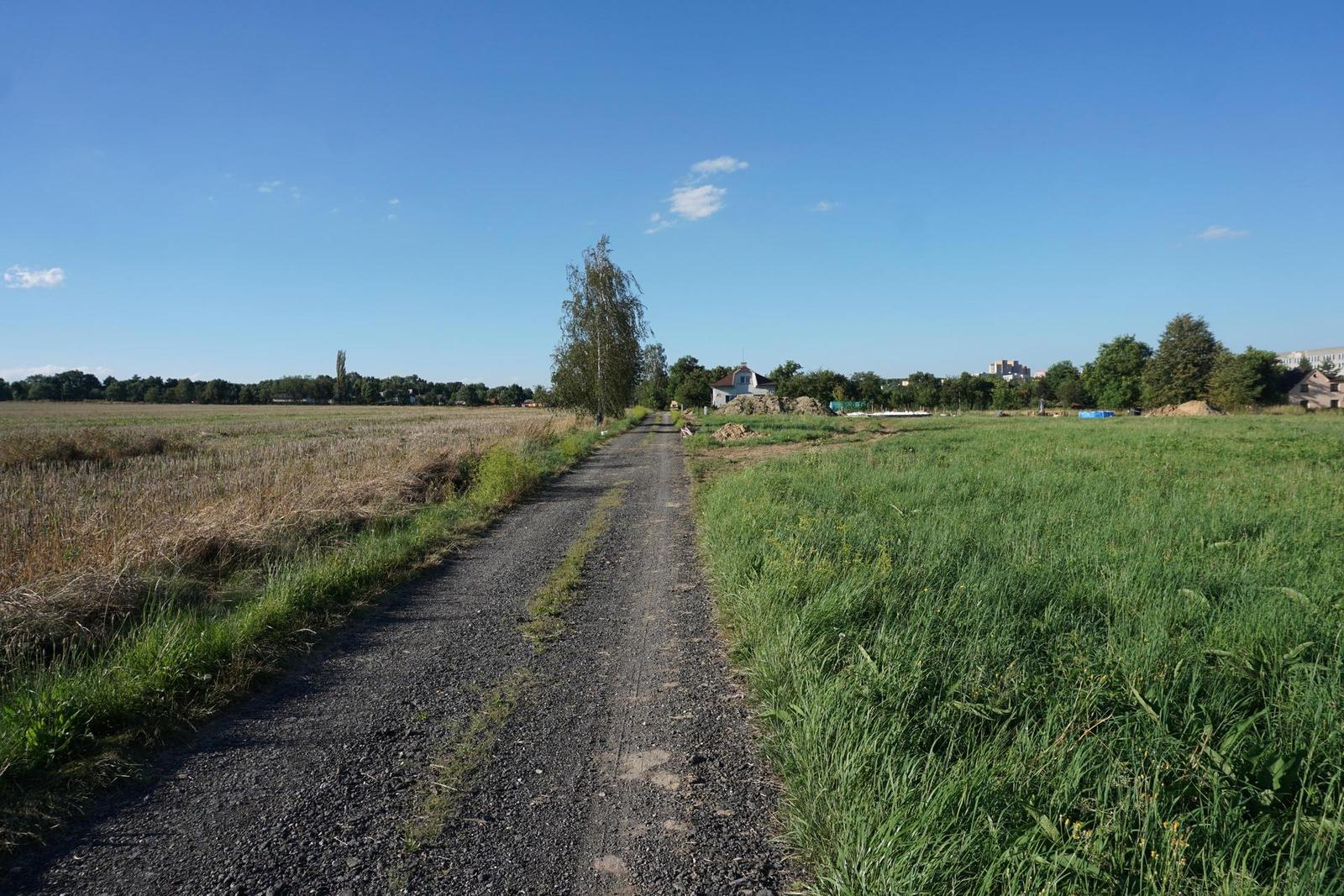 Sony A6000 (ILCE-6000): stále dobrý