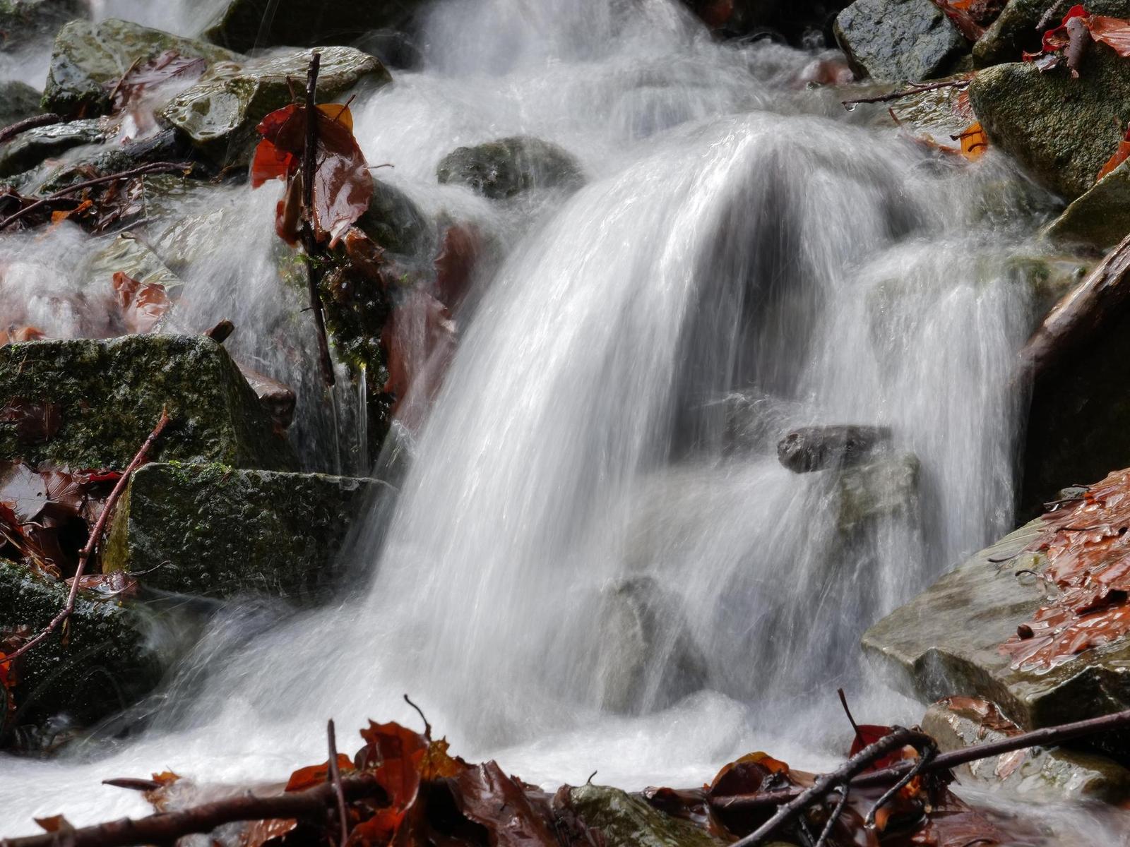 Panasonic Lumix GH5: video-profesionál