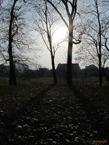 Canon PowerShot G11: géčko, o jakém jsme snili