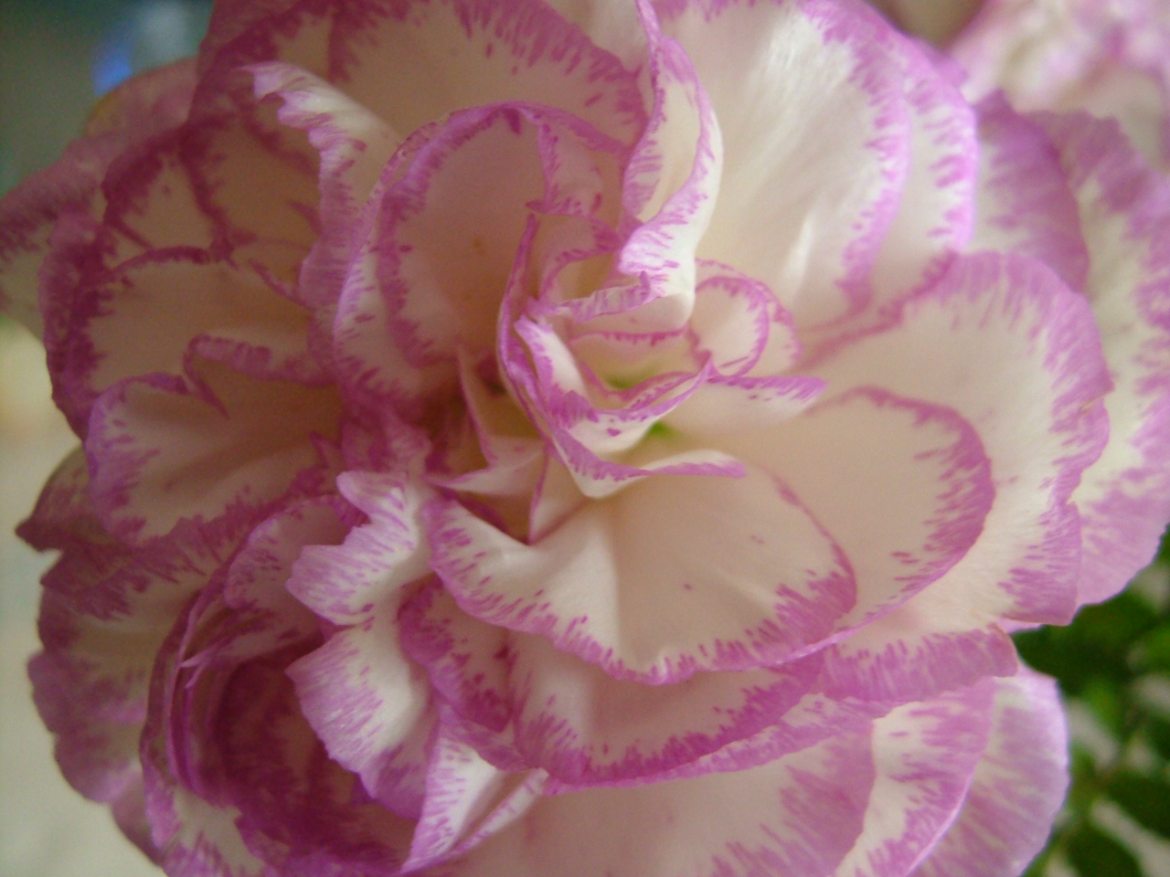 FinePix F420: drobeček s velkým obrazovým výkonem