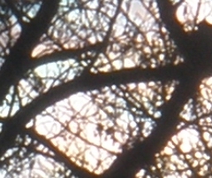 Olympus FE-370: stabilní zoom za hubičku