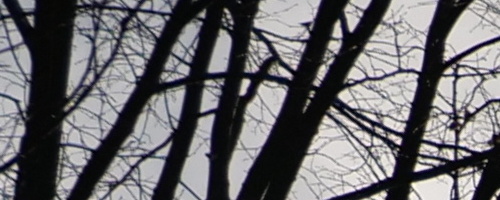 Panasonic Leica DG Vario-Summilux 10-25mm F1.7 ASPH.