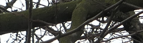 Panasonic Lumix LX15: noční borec