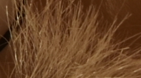 Nikon D7200: přesvědčivé zrcadlo