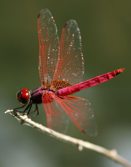 Jak je to s crop faktorem objektivu – 2.díl