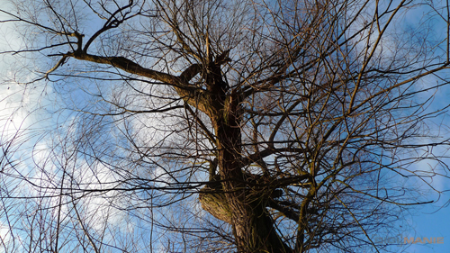 Panasonic Lumix LX3: nejtajnější přání vyslyšena