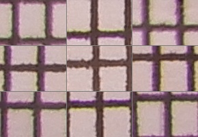 Nikon Coolpix A900: 4K do kapsy