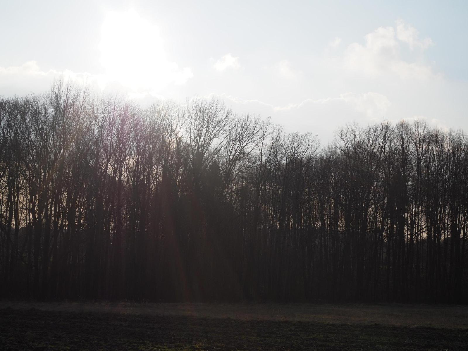 Olympus M.Zuiko Digital 25mm 1:1.8