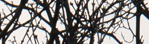 Panasonic Leica DG Elmarit 200mm / F2.8 / Power O.I.S.