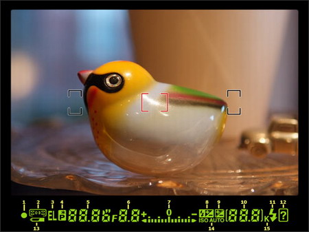 Nikon D40X: v malém těle