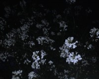 Téma pro tento měsíc - Jak fotí fotomobily, díl I.