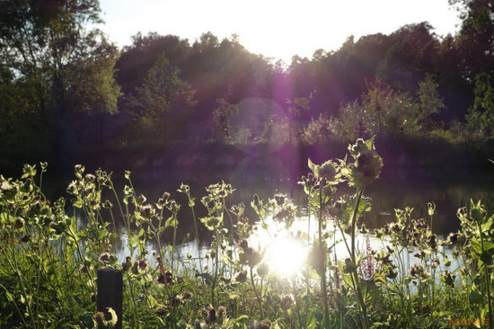 Sony Cyber-shot RX100: terminátor zrcadlovek