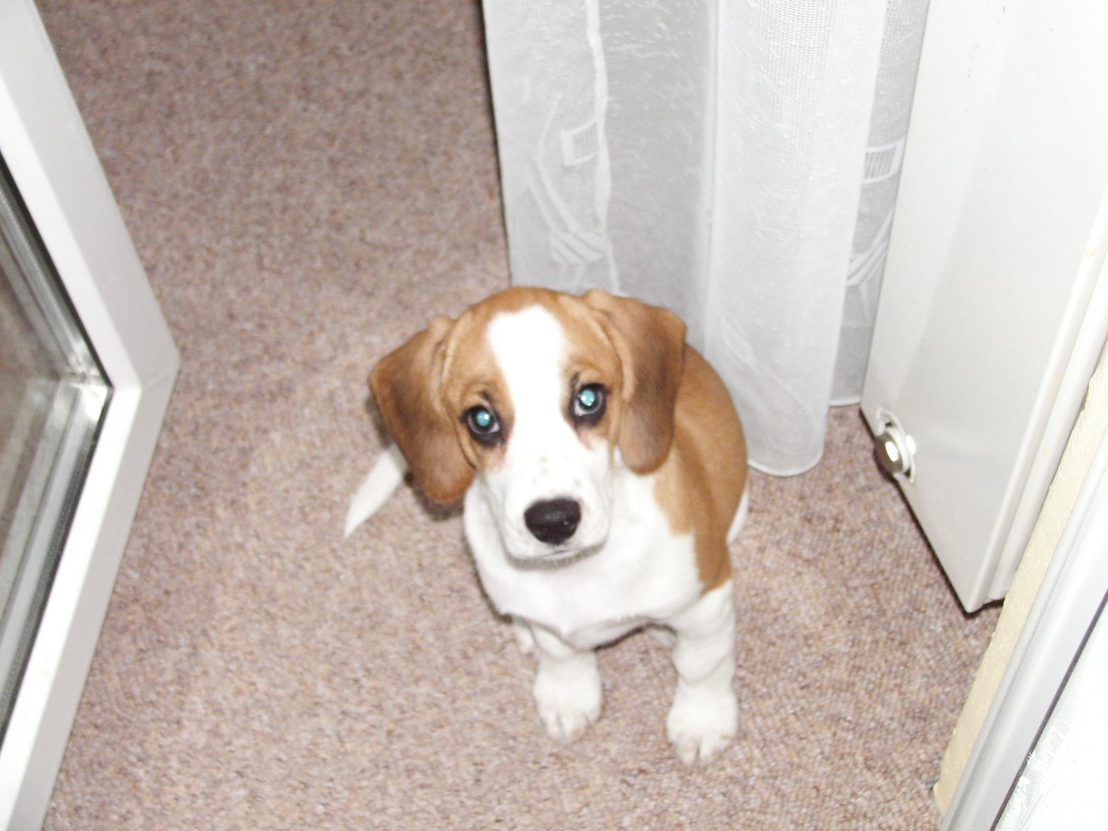 Kyocera M410R: síla šedesátinásobného přiblížení černé krasavice