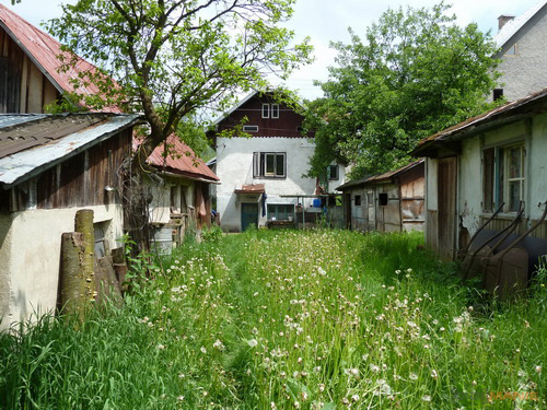 Panasonic Lumix TZ10: kapesní dělo