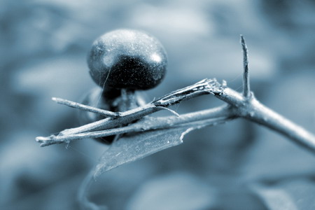 Světlo aneb nástroj každého fotografa - 4. díl