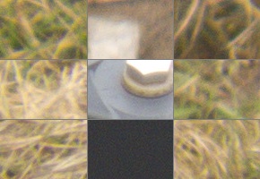 Canon PowerShot SX50 HS: překvapivá kombinace