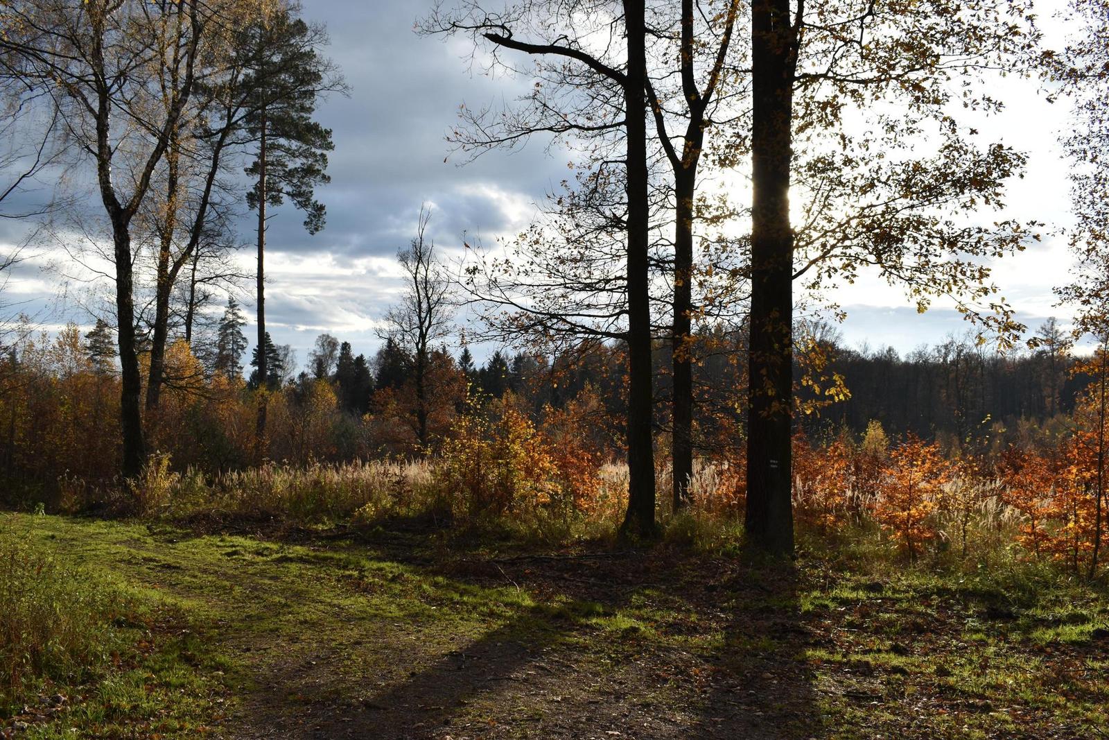 Nikon D5600: zrcadlo stále žije